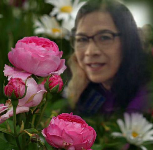 Hồng – Tôi muốn tìm một nửa còn l…..i tính…