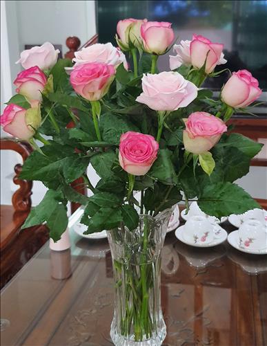 Thiên An –
Mong làm quen với bạn trai h…..