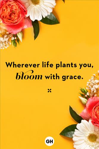 Vân –
Cùng hoàn cảnh