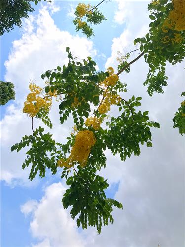 Karma –
Bạn nữ có gia đình, dễ n…..