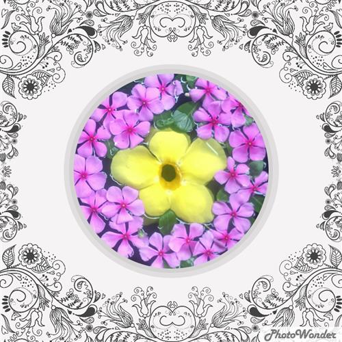 Vết mưa –
Biết quan tâm chia sẻ, yêu …..