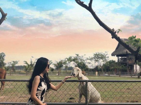 Moon – thông minh, hài hước, hiểu b…..đức,…