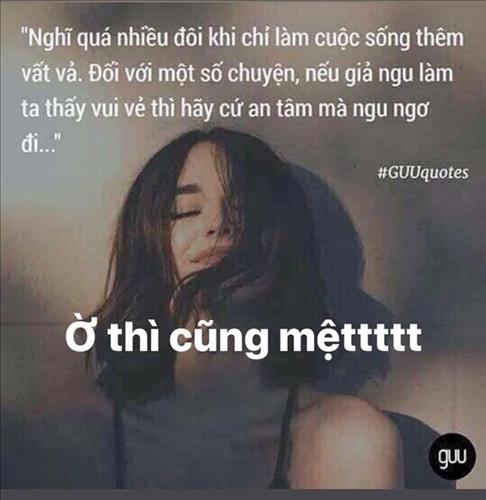 Bee –
Hài hước, tốt bụng       …..