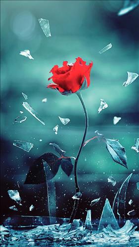 ngọc ngọc –
Sống tình cảm.