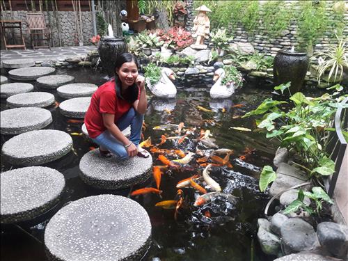 Phi Tuyết –
Tìm người lịch sự kết b…..