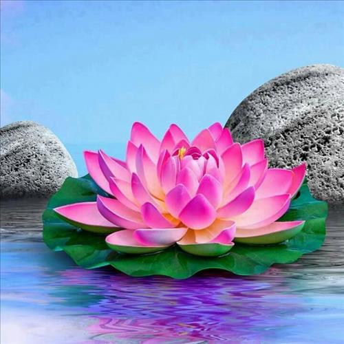 oanh –
siêng năng, khg gia doi….    …..