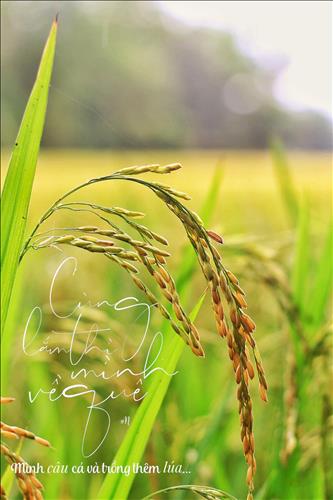 ThaoLinh –
Chan thật,vui ve,lương thien …..