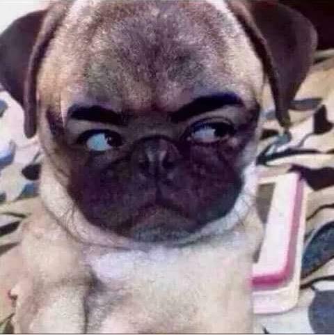 Sunny –
That tha ,nghiem tuc ,co trach nh…..