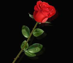 Nhung –
Nghiêm túc